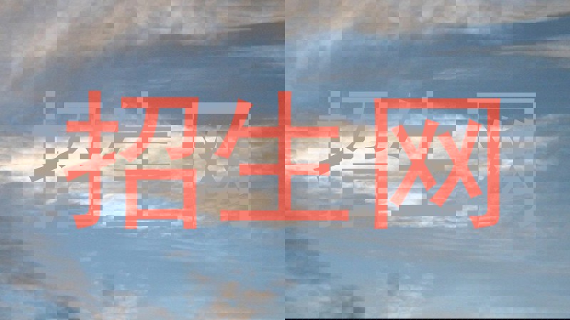 招生网