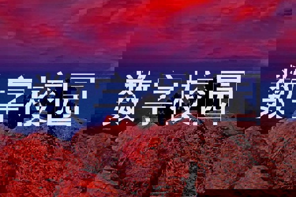 数字校园