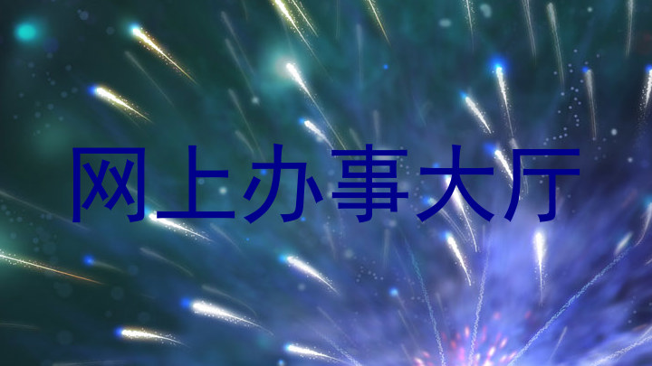 网上办事大厅
