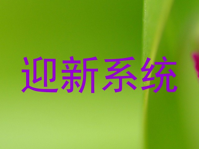 迎新系统