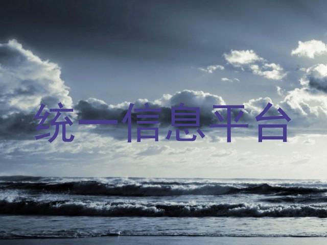 统一信息平台