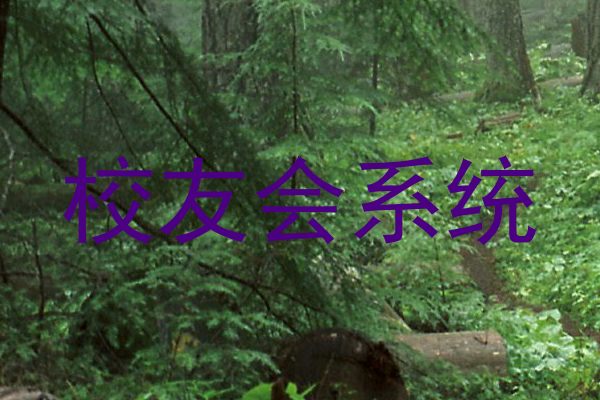 校友会系统
