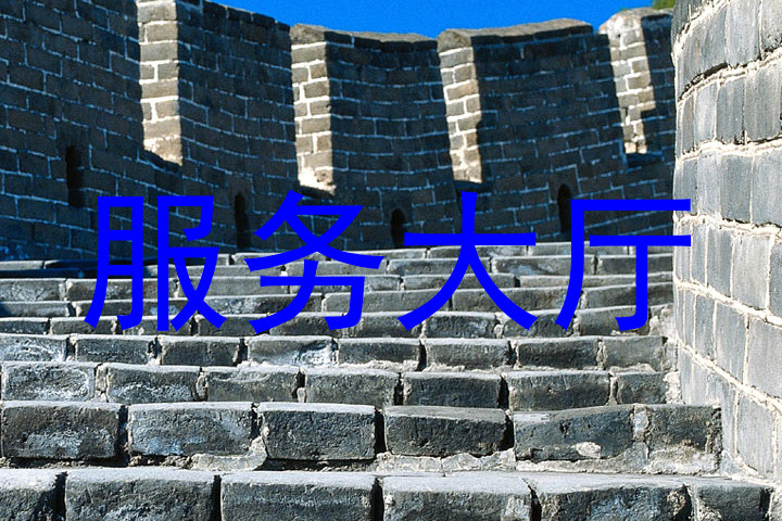 服务大厅