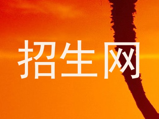 招生网