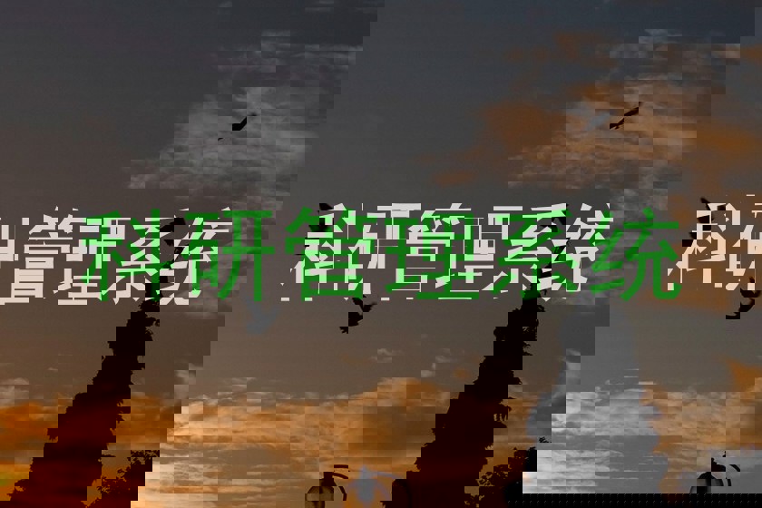 科研管理系统