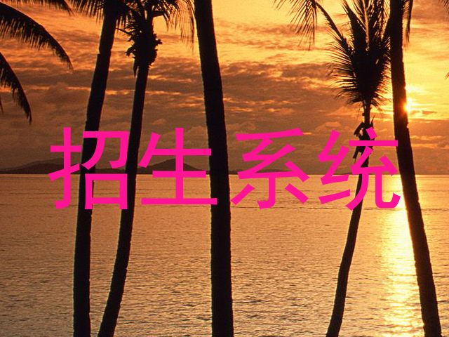 招生系统