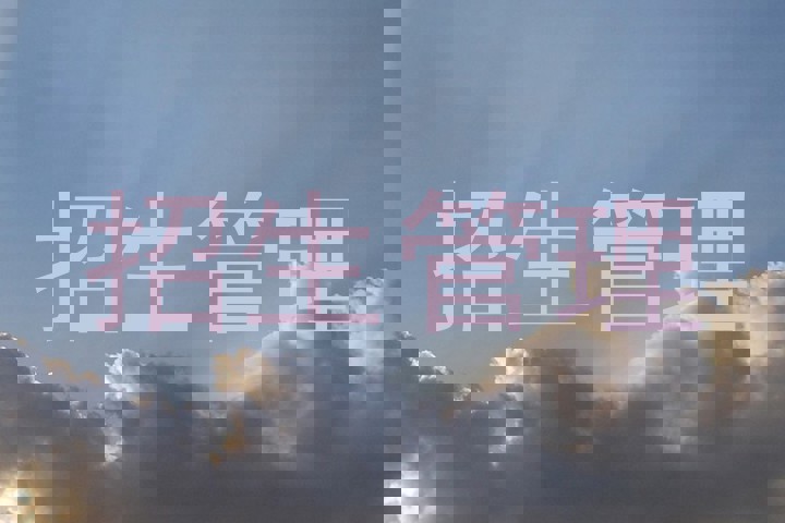 招生管理
