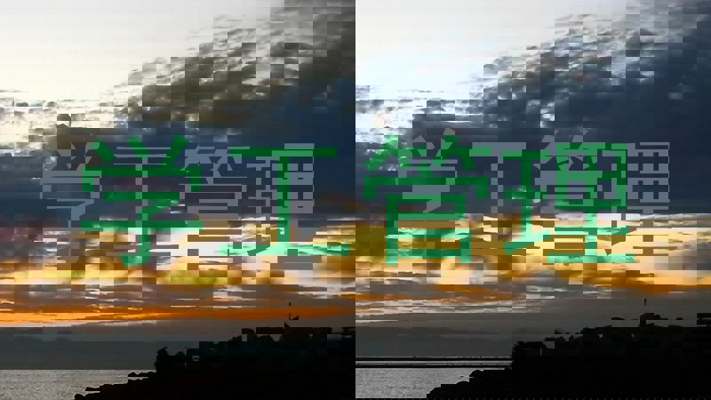 学工管理