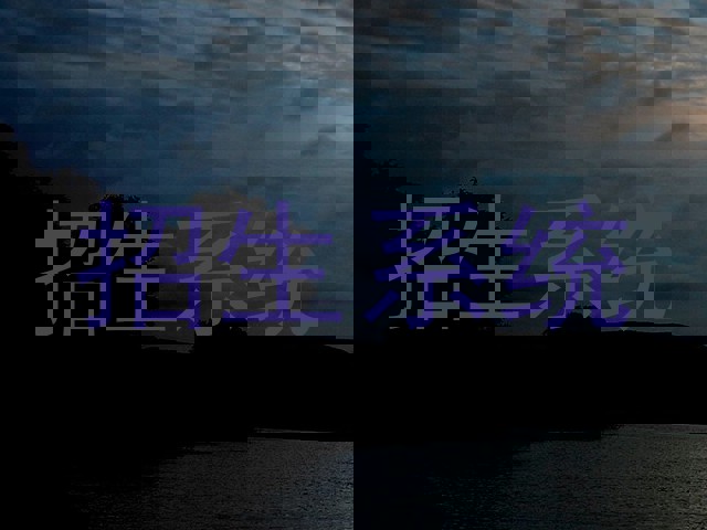 招生系统