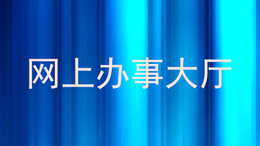 网上办事大厅