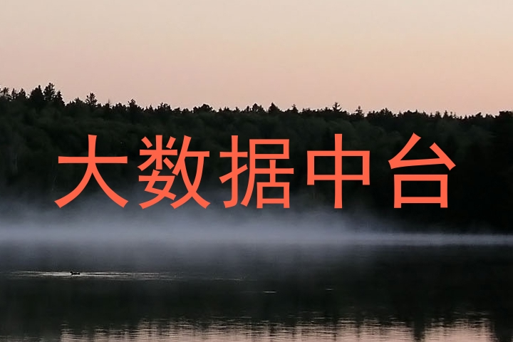 大数据中台