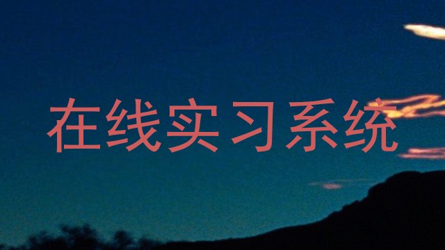 在线实习系统