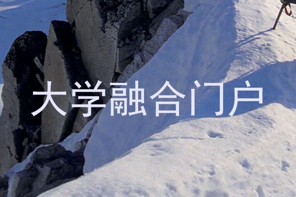 大学融合门户