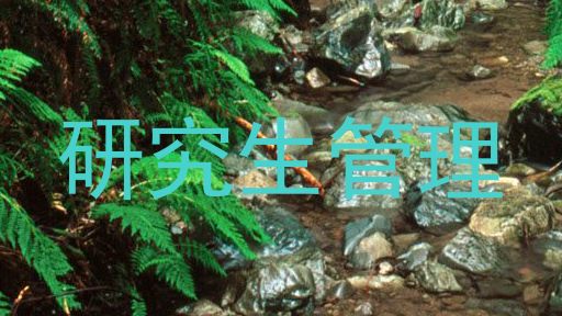 研究生管理