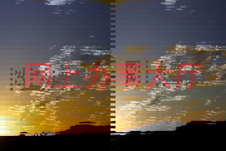 网上办事大厅