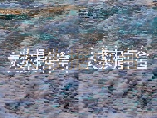 大数据中台