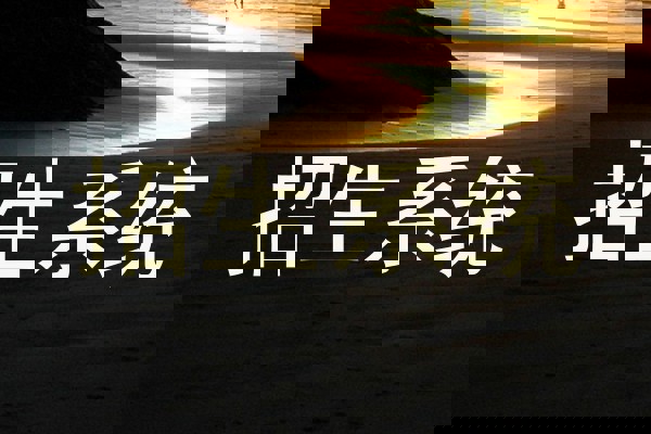 招生系统