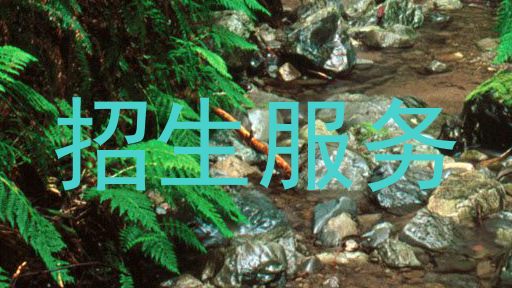 招生服务