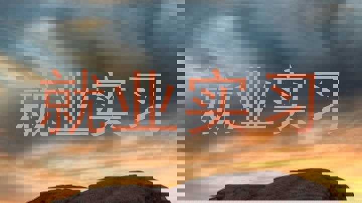 就业实习
