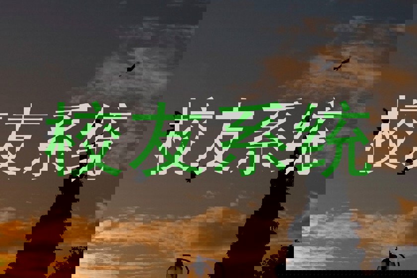 校友系统