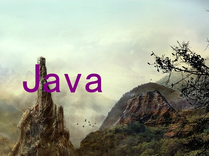 Java