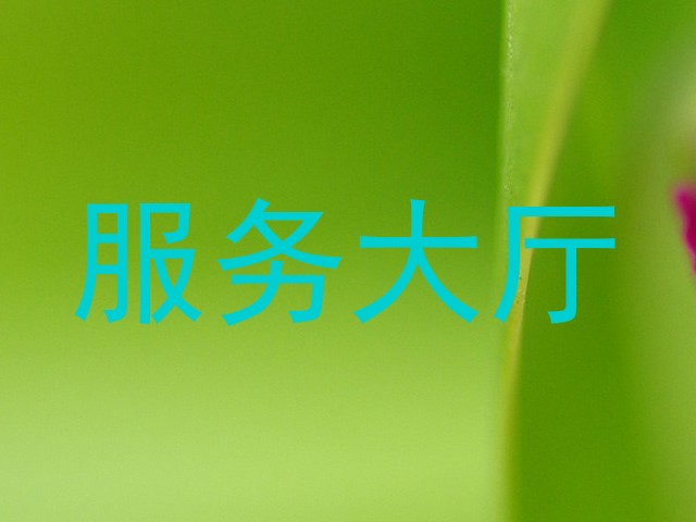 服务大厅