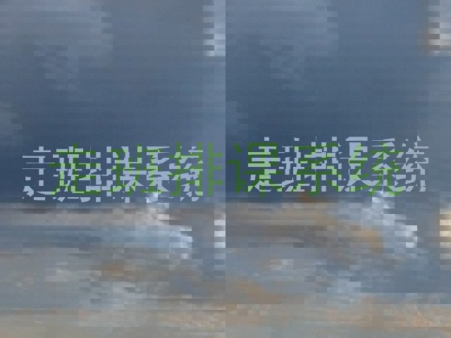 走班排课系统