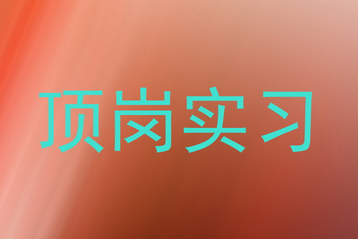 顶岗实习