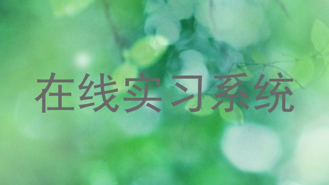 在线实习系统