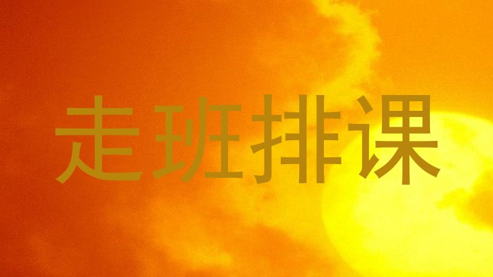 走班排课