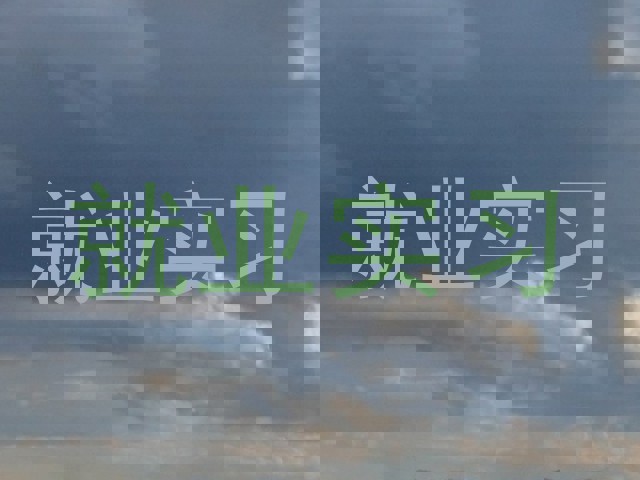 就业实习