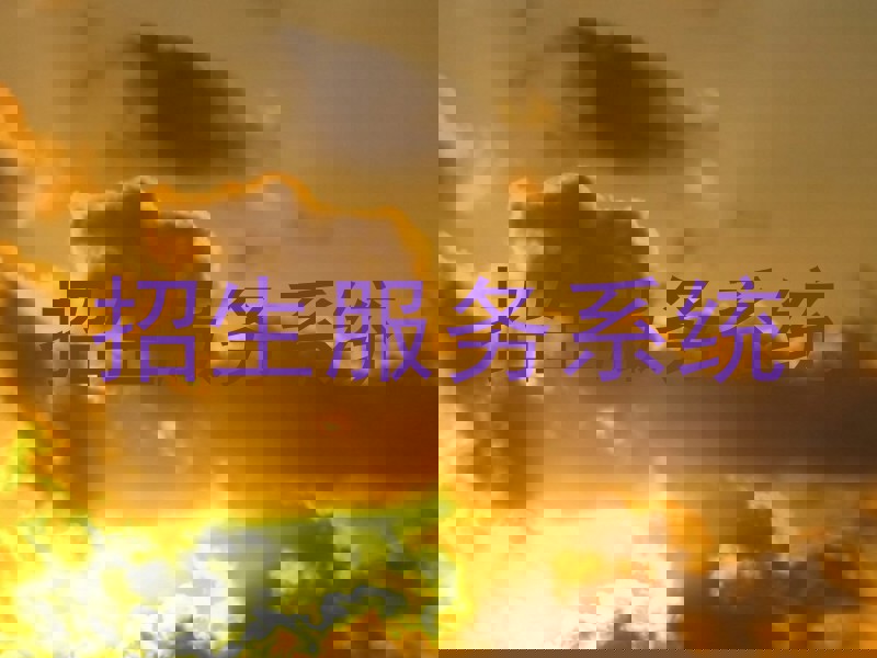 招生服务系统