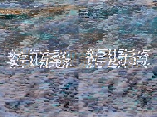 数字迎新系统