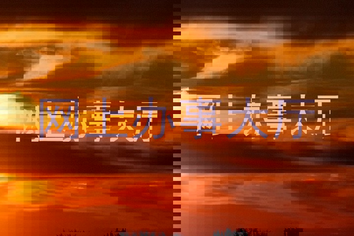 网上办事大厅