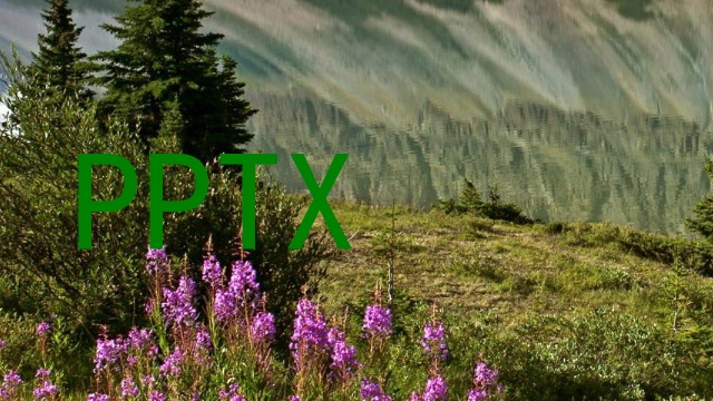 PPTX