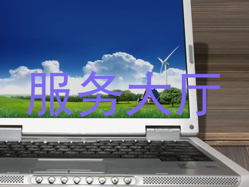 服务大厅