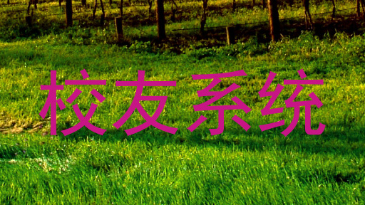 校友系统