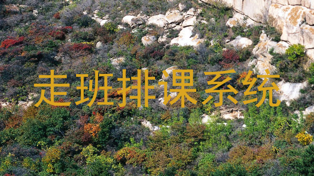 走班排课系统