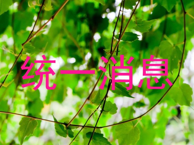 统一消息