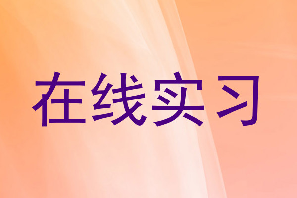 在线实习