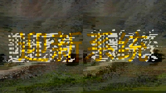 迎新系统