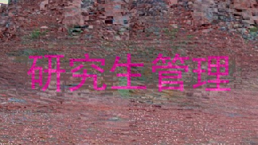 研究生管理
