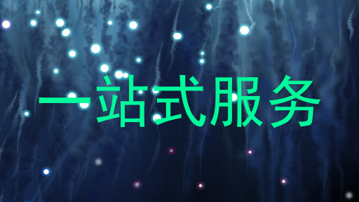 一站式服务