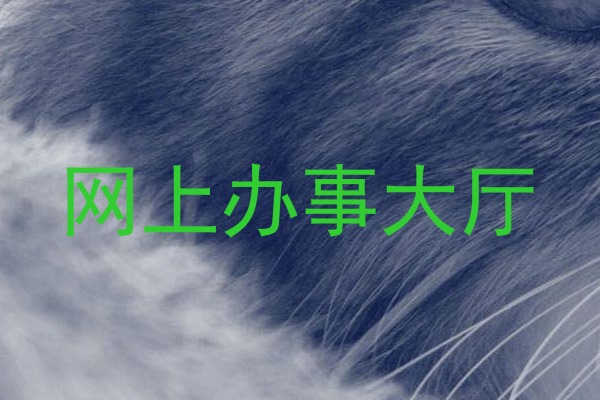 网上办事大厅