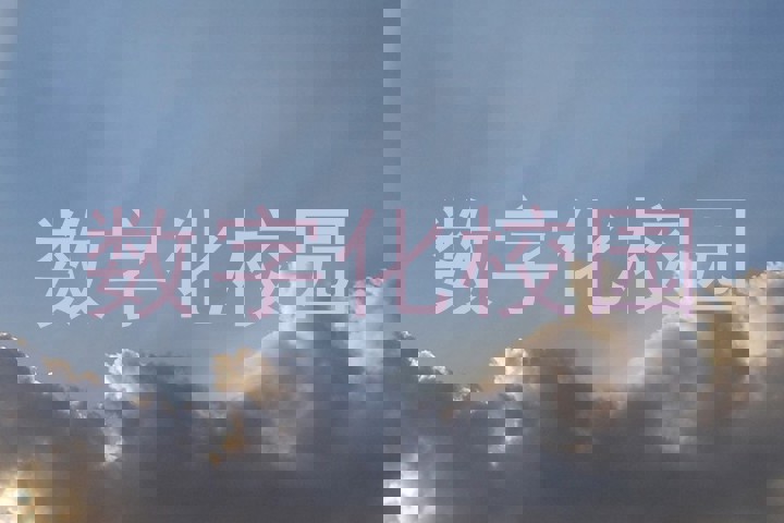 数字化校园