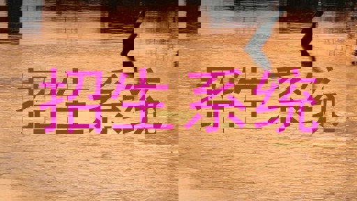 招生系统