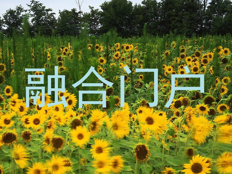 融合门户