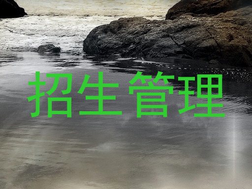 招生管理