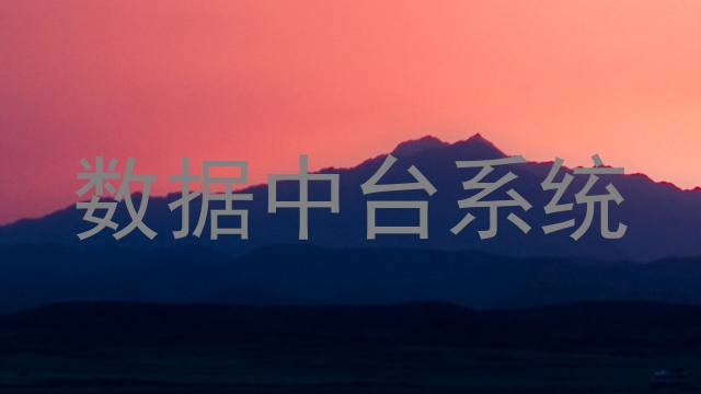 数据中台系统