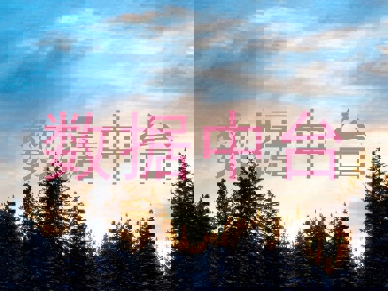 数据中台